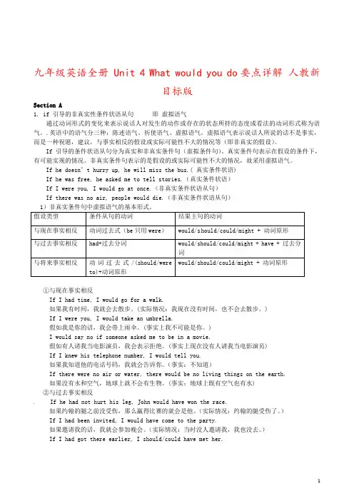 九年级英语全册 Unit 4 What would you do要点详解 人教新目标版
