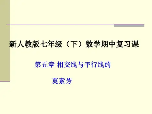 新人教版七年级下册数学期中复习课件