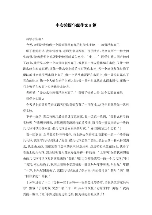 小实验四年级作文5篇