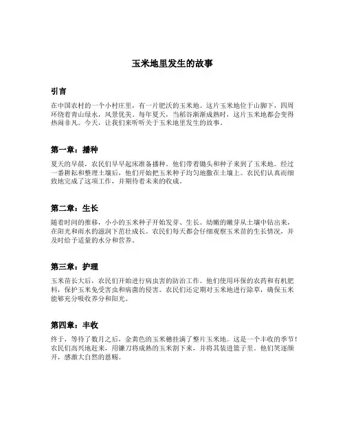 玉米地里发生的故事