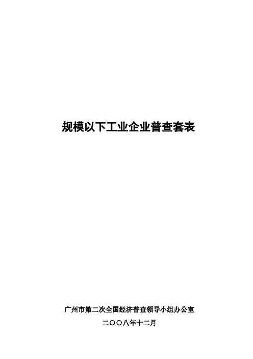 规模以下工业企业普查套表