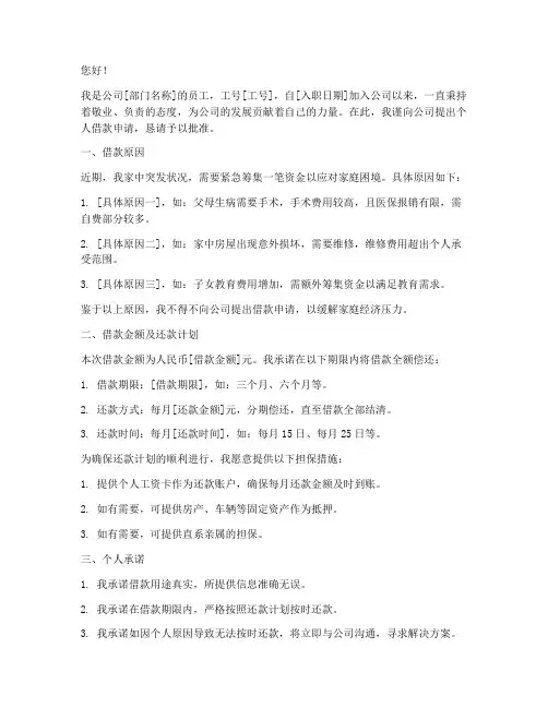 个人向公司借钱申请书