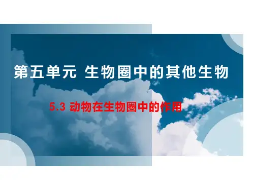 人教版八年级生物上册 5.3动物在生物圈中的作用课件(共34张PPT)