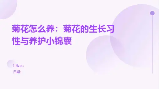 菊花怎么养：菊花的生长习性与养护小锦囊