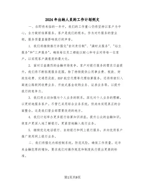 2024年出纳人员的工作计划例文（四篇）
