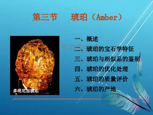 【宝石精品】第7章3琥珀