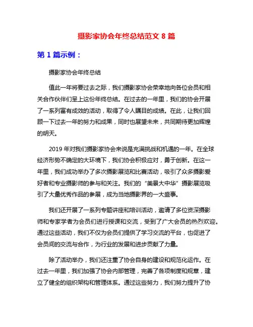摄影家协会年终总结范文8篇