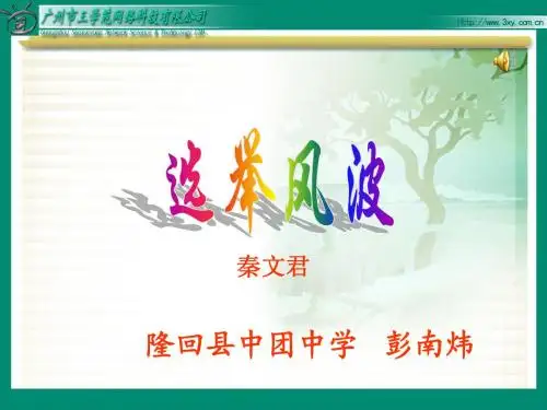 《选举风波》PPT