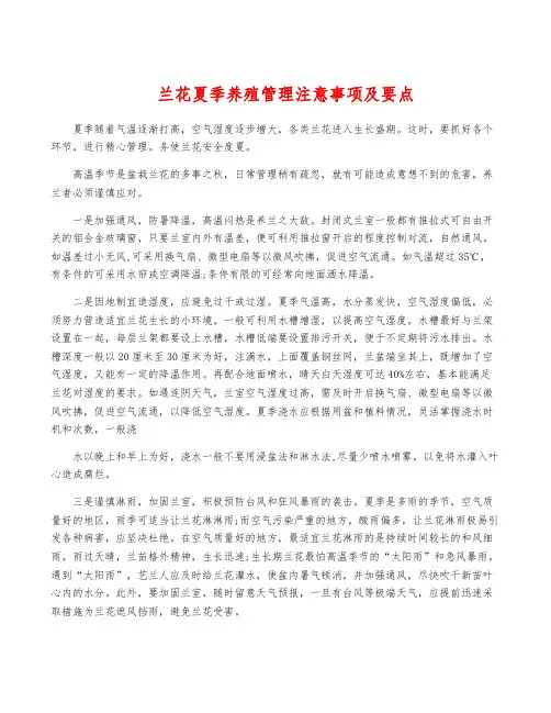 兰花夏季养殖管理注意事项及要点