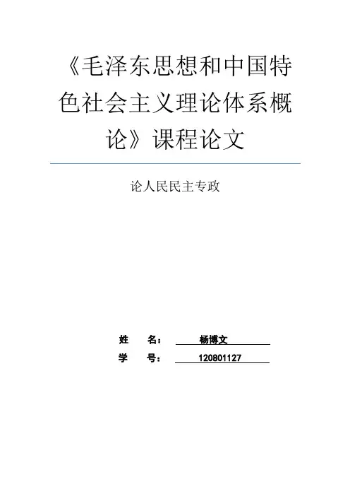 毛概论文：论人民民主专政