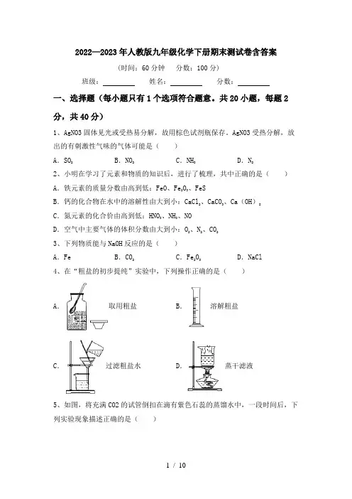 2022—2023年人教版九年级化学下册期末测试卷含答案