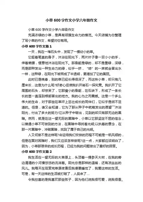 小草600字作文小学六年级作文