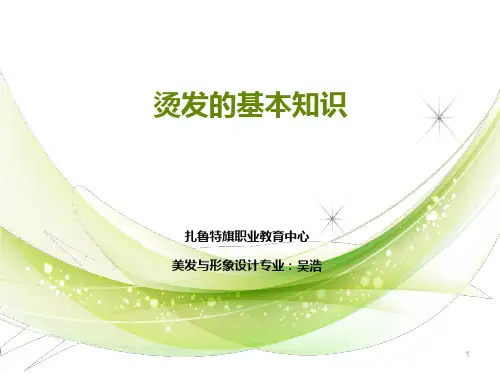 烫发的基础知识PPT课件