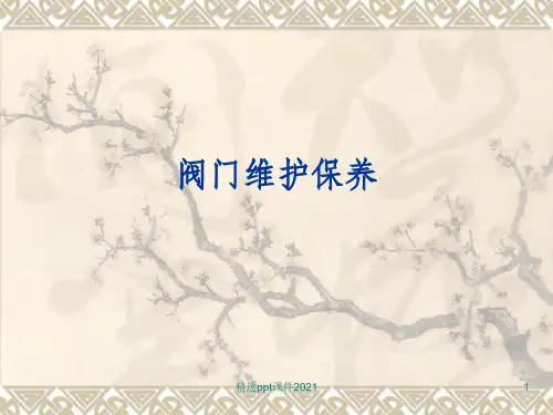 阀门维护保养PPT课件