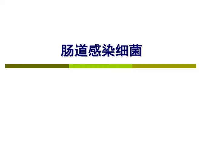 微生物学：肠道感染细菌