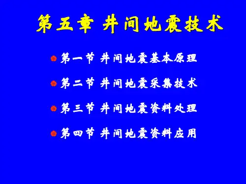第五章   井间地震