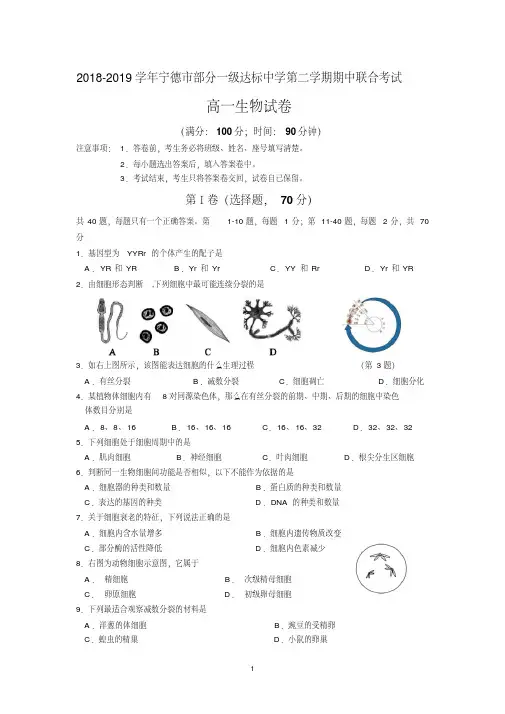 福建省宁德市部分一级达标中学2018-2019学年高一下学期期中考试生物Word版含答案