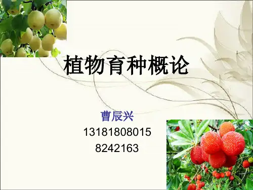 植物育种概论