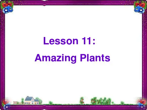 八年级下册：Unit 2《Lesson 11 Amazing Plants》ppt大赛获奖课件(冀教版)