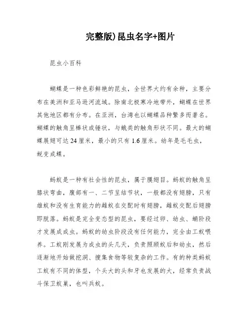 完整版)昆虫名字+图片