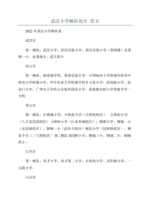 武汉小学梯队划分 崇文