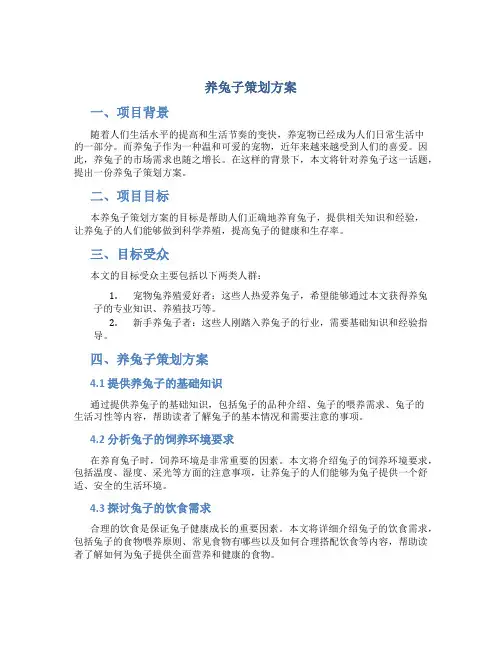 养兔子策划方案