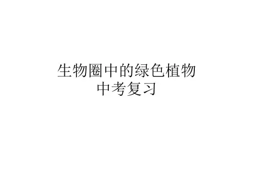 人教版中考生物 生物圈中的绿色植物 复习课件 共24张PPT