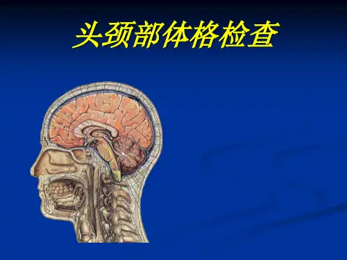 头颈部体格检查