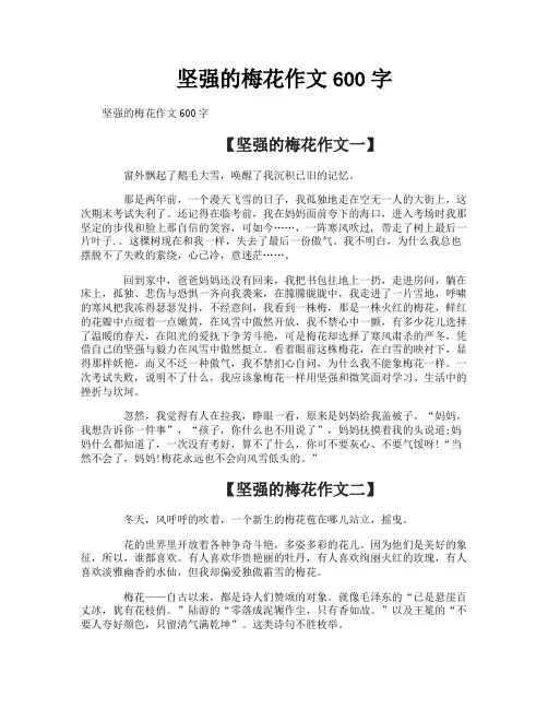 坚强的梅花作文600字