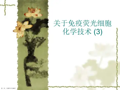 免疫荧光细胞化学技术 (3)课件