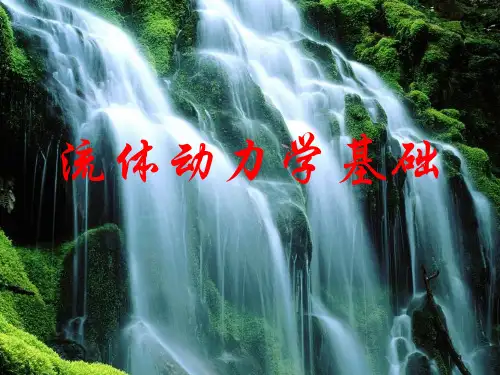 大学物理课件--流体动力学基础