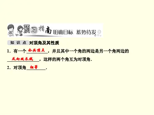 初一上数学课件(华东师大)-对顶角