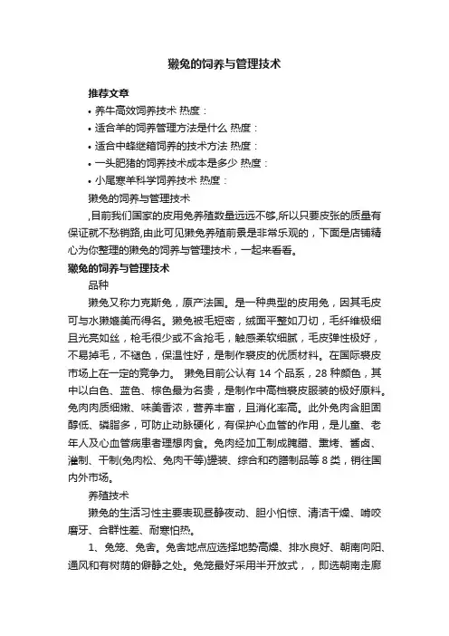 獭兔的饲养与管理技术