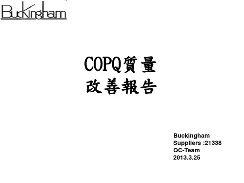 COPQ品质改善报告