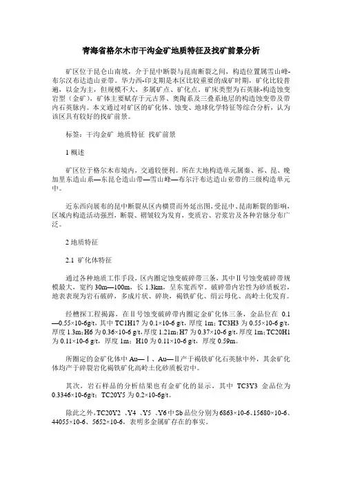 青海省格尔木市干沟金矿地质特征及找矿前景分析