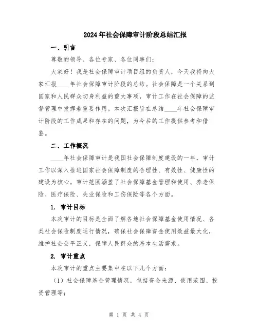2024年社会保障审计阶段总结汇报