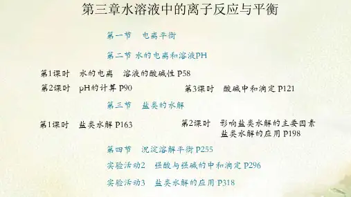 新教材人教版高中化学选择性必修1第三章水溶液中的离子反应与平衡 教学课件(共333页)