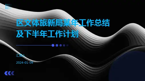 区文体旅新局某年工作总结及下半年工作计划