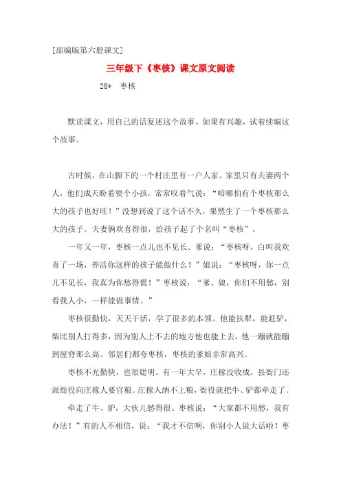 三年级下册《枣核》课文原文阅读