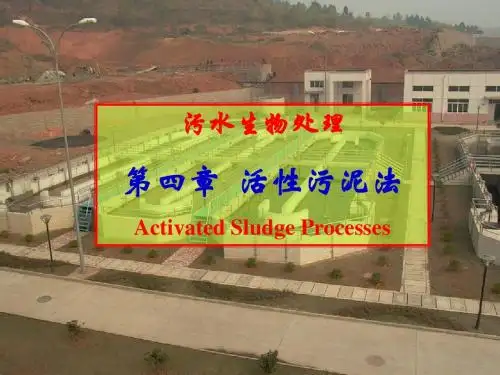 水污染控制  第4章 活性污泥法1