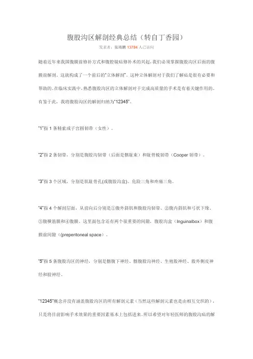 腹股沟区解剖经典总结文档