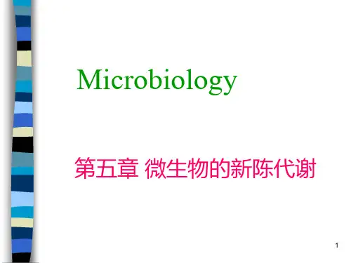 大学课程微生物第五章 微生物的代谢课件