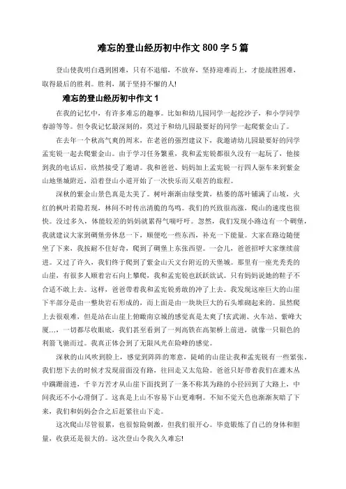 难忘的登山经历初中作文800字5篇