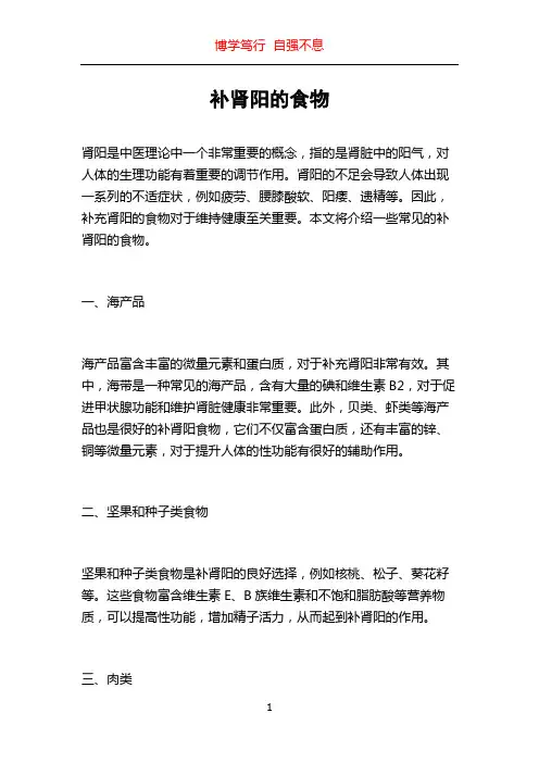 补肾阳的食物