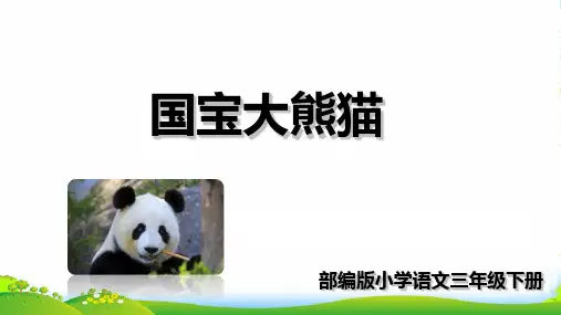 人教部编版三年级下册语文课件-第七单元习作：国宝大熊猫 (共18张PPT)