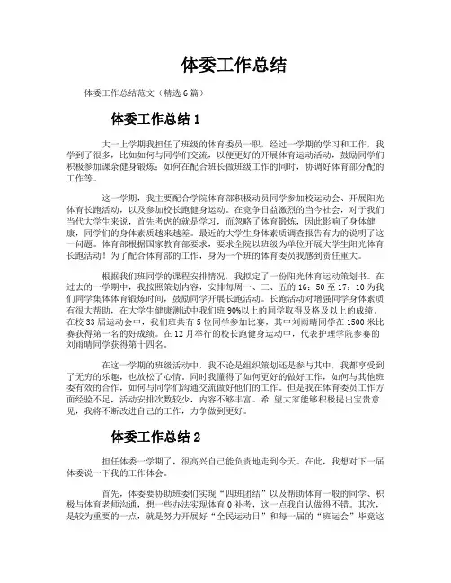 体委工作总结