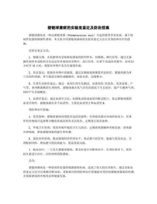 猪链球菌病的实验室鉴定及防治措施