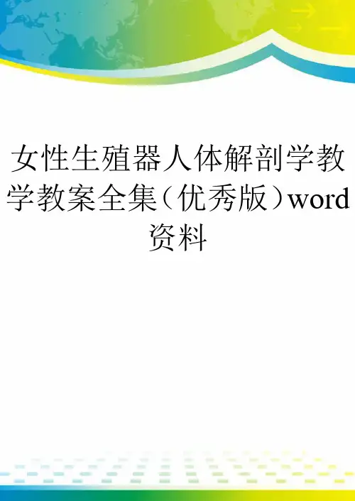 女性生殖器人体解剖学教学教案全集(优秀版)word资料