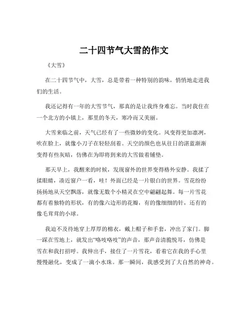 二十四节气大雪的作文