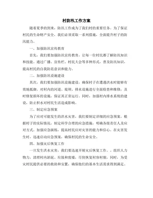 村防汛工作方案